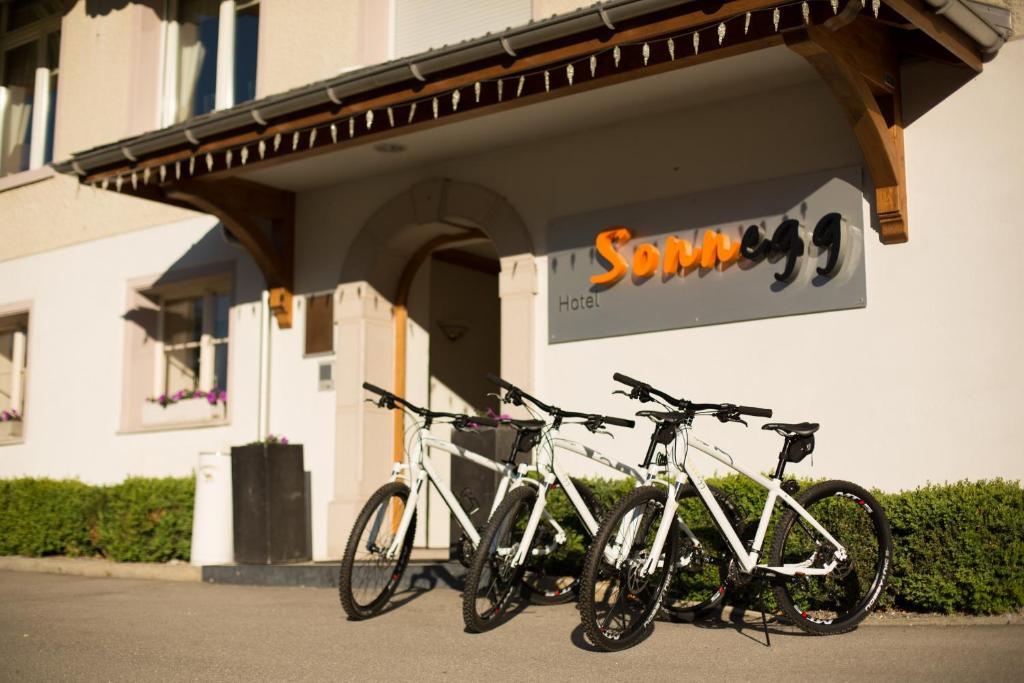 צווייזימן Sonnegg Hotel מראה חיצוני תמונה
